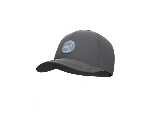 Arc'teryx ArcTeryx Bird Patch Cap