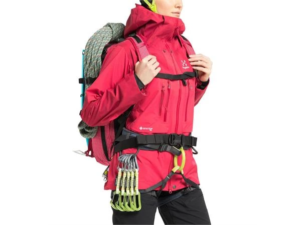 Haglöfs Roc Nordic Gtx Pro Jacket Dame - Bilde 2